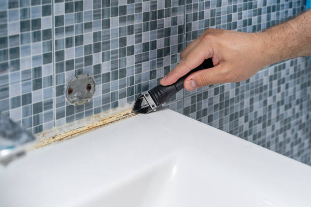 Best Mold Remediation Experts  in Glen Burnie, MD