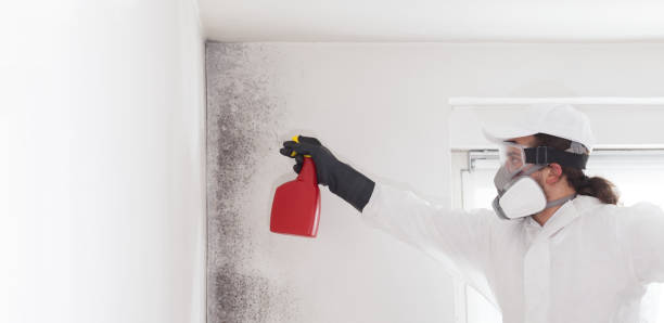 Best Residential Mold Removal  in Glen Burnie, MD
