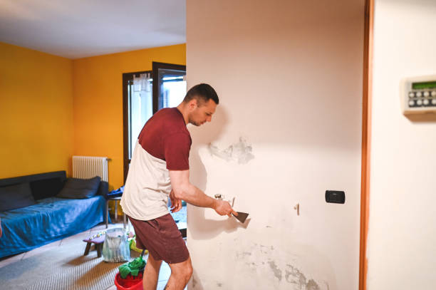 Best Mold Remediation  in Glen Burnie, MD